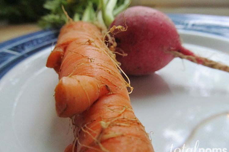 Carrot and Radish Slaw