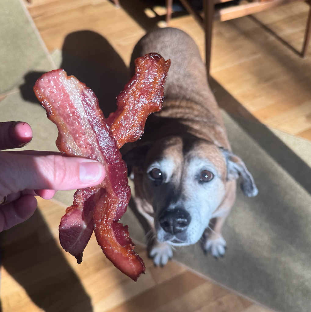 You're bacon me crazy!