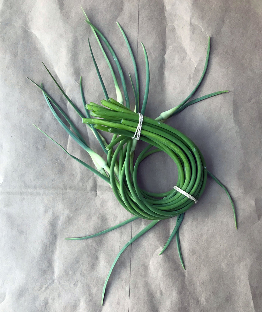 The Great Garlic Scape